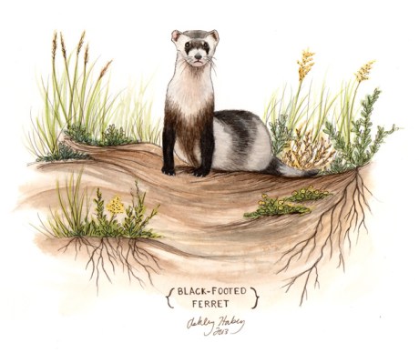 AshleyHalsey_BFF_2013